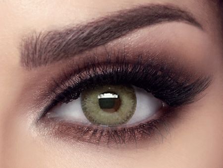 BELLA - Gray Olive Contact Lenses