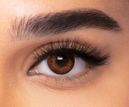 FRESHLOOK MONTHLY COLORBLENDS BROWN 2's Contact Lenses