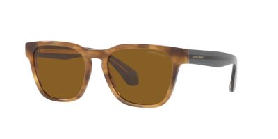 GIORGIO ARMANI Rectangular Sunglasses, AR8155